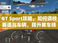 GT Sport攻略，如何調(diào)校賽道與車輛，提升賽車技巧？