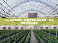 下半年大棚改造，最新動態(tài)與未來展望，開啟智慧農業(yè)新篇章
