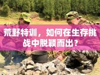 荒野特訓，如何在生存挑戰(zhàn)中脫穎而出？