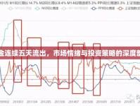 資金連續(xù)五天流出，市場情緒與投資策略的深度剖析