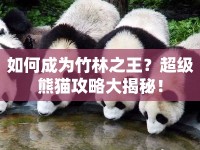 如何成為竹林之王？超級熊貓攻略大揭秘！