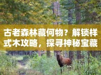 古老森林藏何物？解鎖樣式木攻略，探尋神秘寶藏！