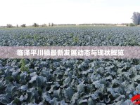 臨澤平川鎮(zhèn)最新發(fā)展動態(tài)與現(xiàn)狀概覽
