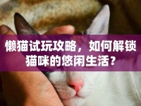 懶貓?jiān)囃婀ヂ?，如何解鎖貓咪的悠閑生活？