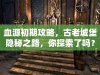 血源初期攻略，古老城堡隱秘之路，你探索了嗎？