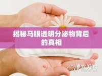 揭秘馬眼透明分泌物背后的真相