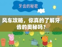 風(fēng)車攻略，你真的了解牙齒的奧秘嗎？
