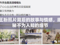 王粉照片背后的故事與情感，揭秘不為人知的細(xì)節(jié)