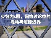 少婦內(nèi)s圖，網(wǎng)絡(luò)討論中的隱私與道德邊界