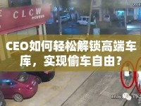 CEO如何輕松解鎖高端車庫，實(shí)現(xiàn)偷車自由？