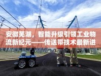 安徽蕪湖，智能升級(jí)引領(lǐng)工業(yè)物流新紀(jì)元——傳送帶技術(shù)最新進(jìn)展深度解析