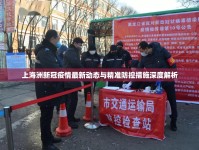 上海洲新冠疫情最新動態(tài)與精準防控措施深度解析