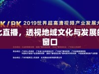 河北直播，透視地域文化與發(fā)展的新窗口