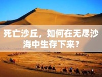 死亡沙丘，如何在無(wú)盡沙海中生存下來(lái)？