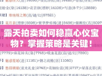 露天拍賣如何穩(wěn)贏心儀寶物？掌握策略是關(guān)鍵！
