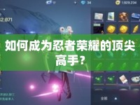 如何成為忍者榮耀的頂尖高手？