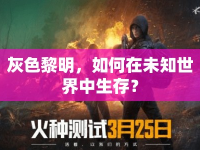 灰色黎明，如何在未知世界中生存？