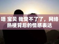 唔 寶貝 我受不了了，網(wǎng)絡(luò)熱梗背后的情感表達
