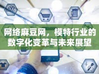 網(wǎng)絡(luò)麻豆網(wǎng)，模特行業(yè)的數(shù)字化變革與未來展望