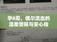 孕8周，偶爾流血的溫柔警報(bào)與安心指南