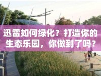 迅雷如何綠化？打造你的生態(tài)樂(lè)園，你做到了嗎？