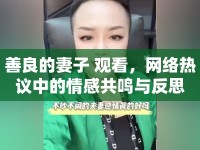 善良的妻子 觀看，網(wǎng)絡(luò)熱議中的情感共鳴與反思