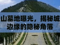 鞍山墓地曝光，揭秘城市邊緣的隱秘角落