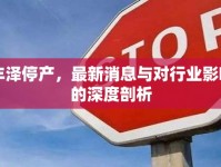 豐澤停產(chǎn)，最新消息與對(duì)行業(yè)影響的深度剖析