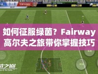 如何征服綠茵？Fairway高爾夫之旅帶你掌握技巧