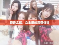 茶香之旅，女主播的采茶體驗(yàn)