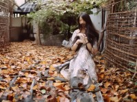 熱血江湖手游，獅子技能如何實(shí)戰(zhàn)應(yīng)用？
