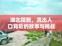 湖北陽新，流出人口背后的故事與挑戰(zhàn)