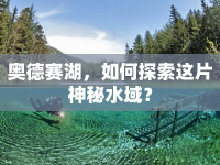 奧德賽湖，如何探索這片神秘水域？