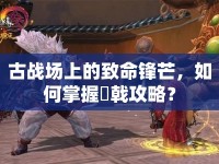 古戰(zhàn)場上的致命鋒芒，如何掌握剣戟攻略？