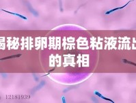 揭秘排卵期棕色粘液流出的真相