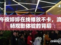 午夜婷婷在線播放不卡，流暢觀影體驗(yàn)的背后