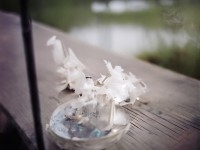 傲慢之像，RO手游中的權(quán)力符號如何暴露人性弱點(diǎn)？