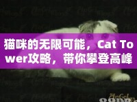 貓咪的無限可能，Cat Tower攻略，帶你攀登高峰！