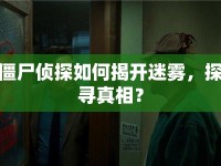 僵尸偵探如何揭開迷霧，探尋真相？