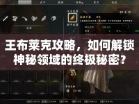王布萊克攻略，如何解鎖神秘領(lǐng)域的終極秘密？