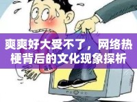 爽爽好大受不了，網(wǎng)絡(luò)熱梗背后的文化現(xiàn)象探析
