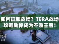如何征服戰(zhàn)場(chǎng)？TERA戰(zhàn)場(chǎng)攻略助你成為不敗王者！