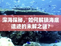 深海探秘，如何解鎖海底遺跡的未解之謎？