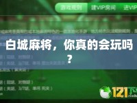 白城麻將，你真的會玩嗎？