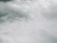 李阿姨為何能成為智慧與愛心并存的完美母親？