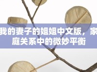 我的妻子的姐姐中文版，家庭關系中的微妙平衡