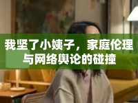 我堅了小姨子，家庭倫理與網(wǎng)絡(luò)輿論的碰撞