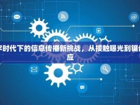 數(shù)字時(shí)代下的信息傳播新挑戰(zhàn)，從接觸曝光到鋸齒效應(yīng)