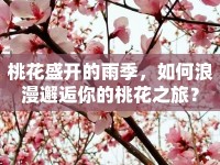 桃花盛開(kāi)的雨季，如何浪漫邂逅你的桃花之旅？