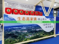 2023年通道縣微商新生態(tài)，最新動態(tài)與未來展望
